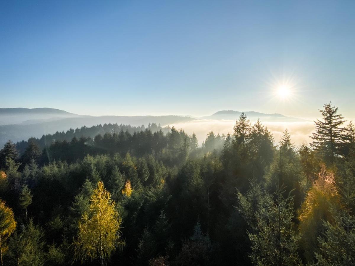 Ferienwohnung Vergissmeinnicht Gengenbach Exterior foto